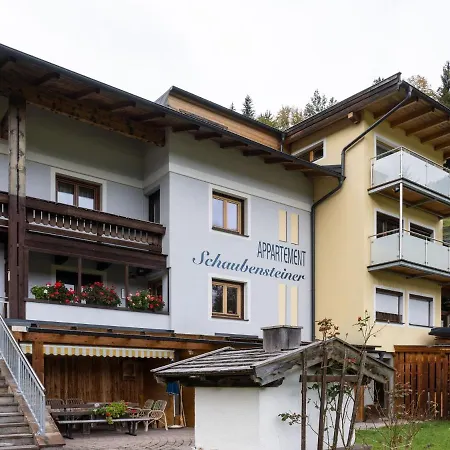 In With Ski Storage Parking Balcony Apartment Zell am See